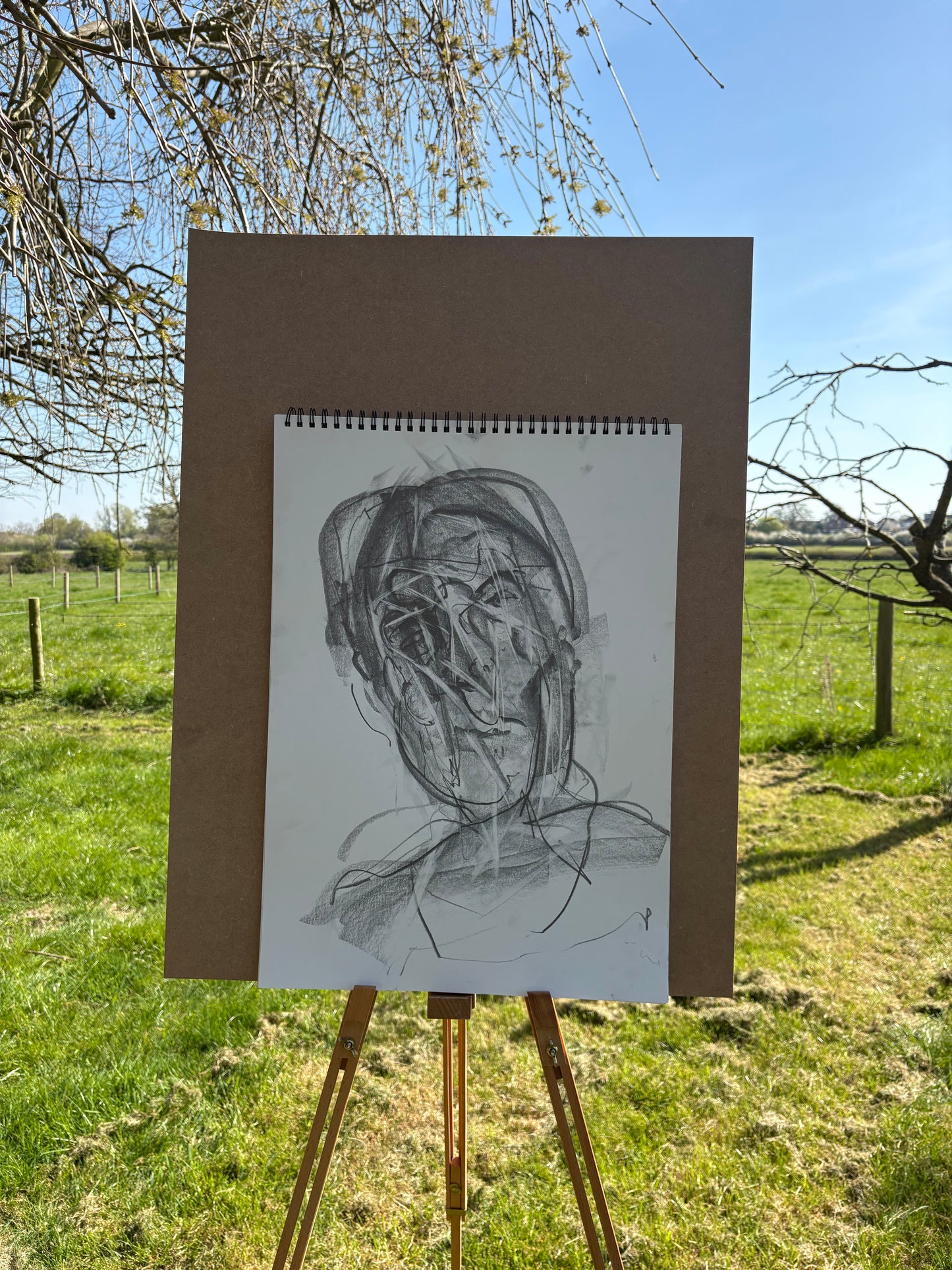 Original Graphite Sketch A2